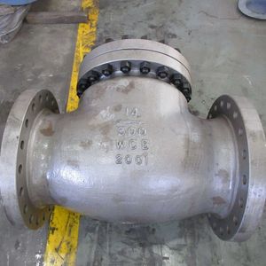 Swing Check Valve ASTM A216 Wcb 14inch Class 300