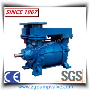 2bec Series Liquid Water Ring Vacuum Pump and Compressor for Mining, Paper Making, Coal Washing and Power Plant